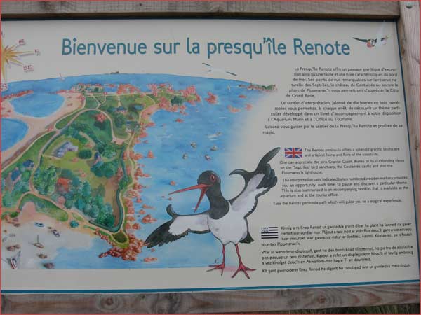 presqu'île Renote